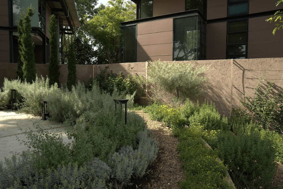 garden picture