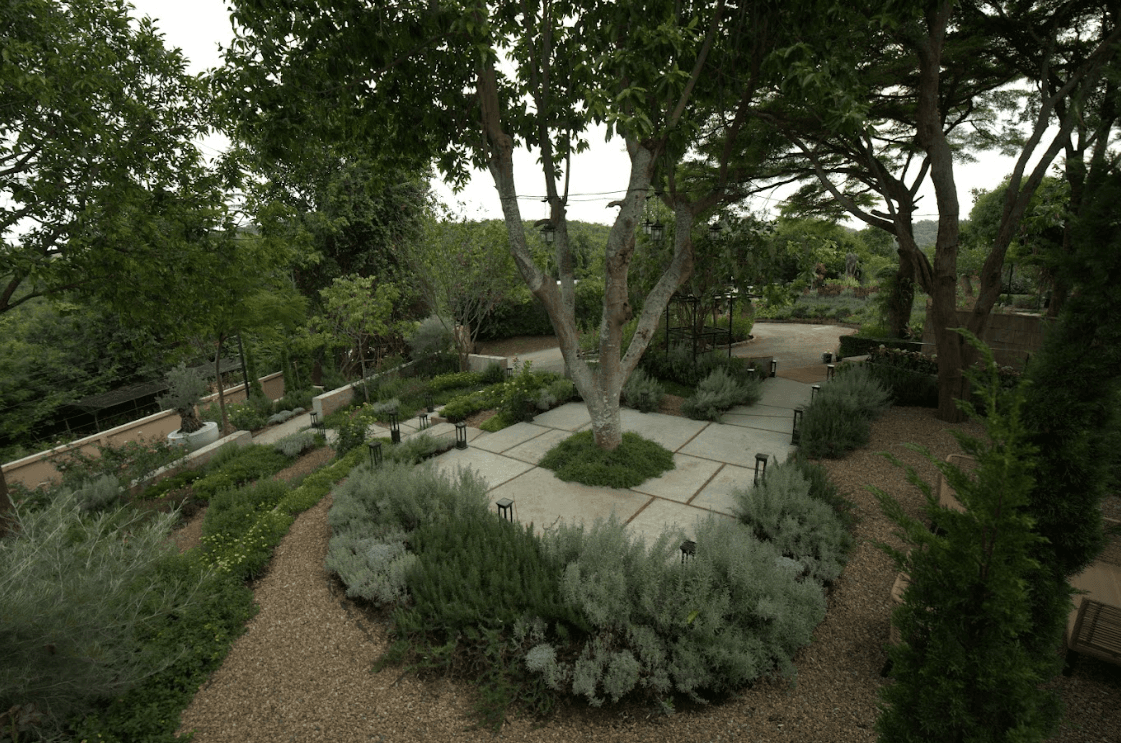 garden picture