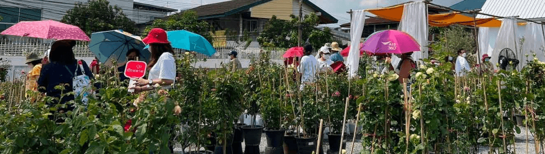 Garden event with colorful umbrellas