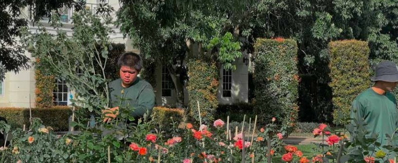 Gardening Service
