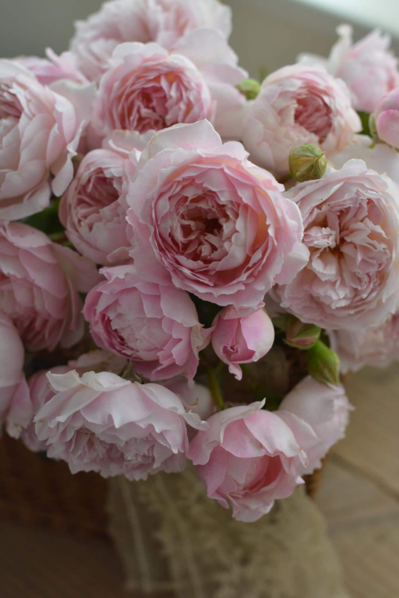 Princess Tenko rose Bouquet